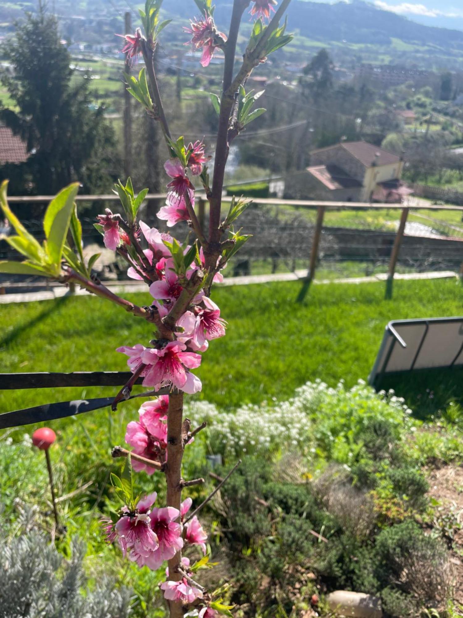 Vistalegre78 Villa Grado Kültér fotó